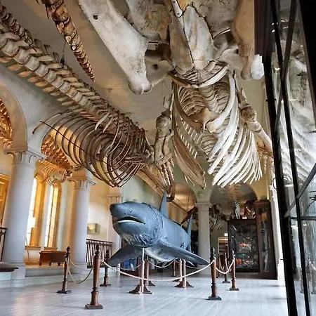 Dinbnb L Historical Building I 100m To Museum شقة *